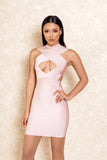 Sofia Stretch Cut Out Mini Blush Dress